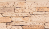 Ledgestone | Canyon - R-LS-PN-4812-B10-CN