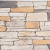 Ledgestone | Southwest - panel-48-x-24 - 16936 - 16980 - box-of-5